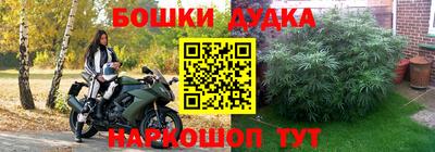 spice Краснодар