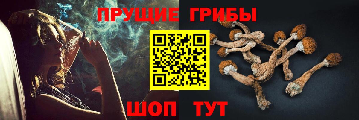 Свободный  Псилоцибиновые грибы Psilocybine cubensis  Вход с VPN 
