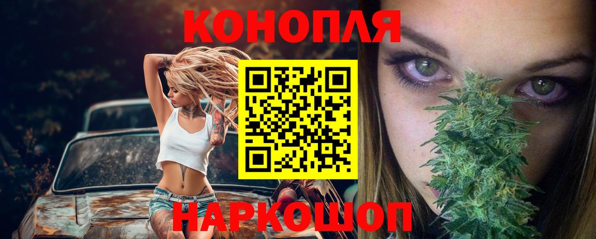 Бошки Шишки семена  Бошки Шишки планчик  Вход с VPN  Канабис гибрид  Свободный 